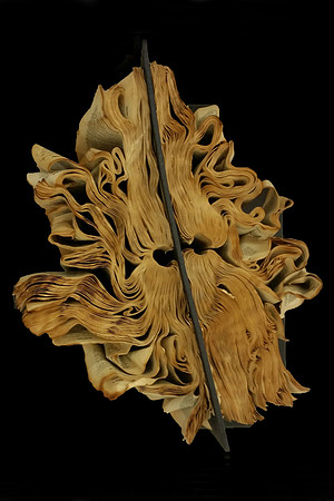 Annie Zeybekoglu - Roots