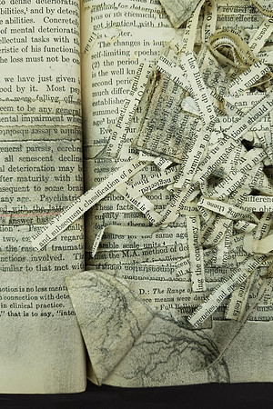 Annie Zeybekoglu - The Problem of Mental Deterioration