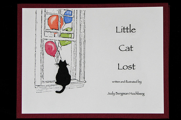 Judy Bergman Hochberg - Little Cat Lost