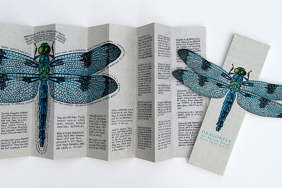 Julie Shaw Lutts - Dragonfly