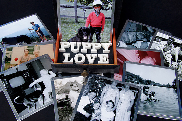 Julie Shaw Lutts - Puppy Love