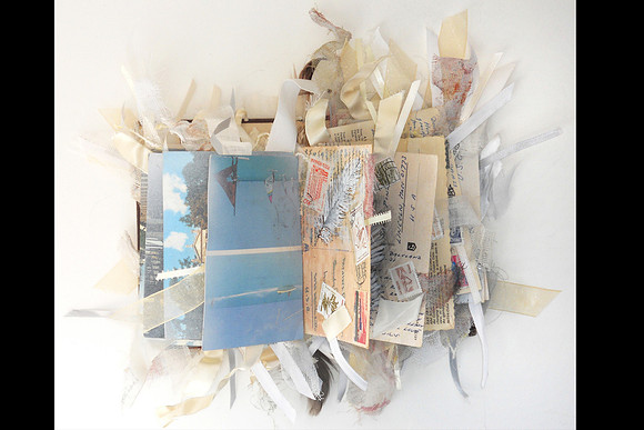 Stephanie Stigliano - Windward