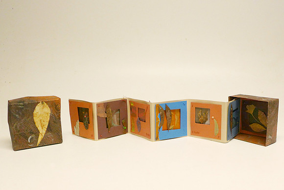 Susan Leavey - WIndow Book