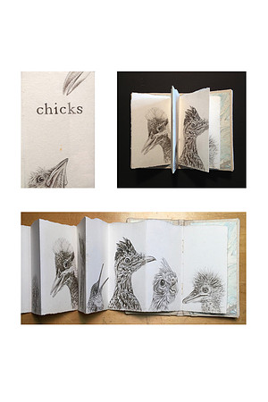 Suzanne Barnes - Smalls Chicks