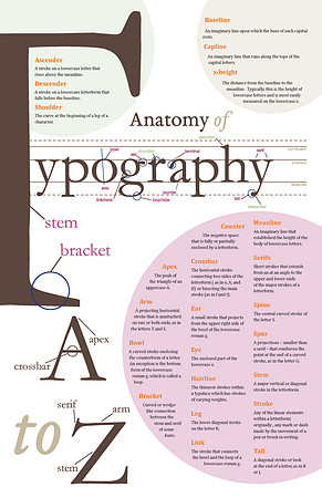 Ksenia Pryme - Anatomy Of Typography Poster