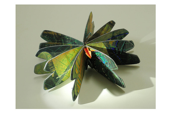 Carolyn Shattuck - Dragonfly